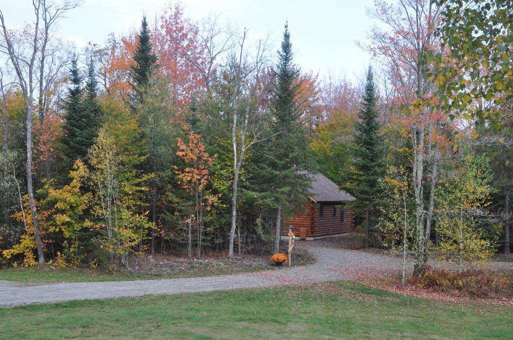 Muddy Moose Hotel Morrisville Luaran gambar